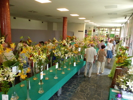 Foto: Dr. Peter Müller